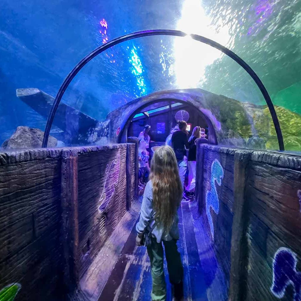 SEALIFE - blackpool