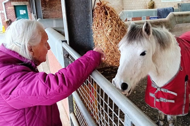 World Horse Welfare - Penny Farm